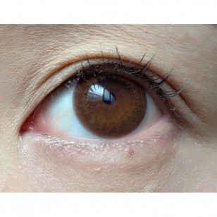 FLANMY Doughnut Brown 10片裝